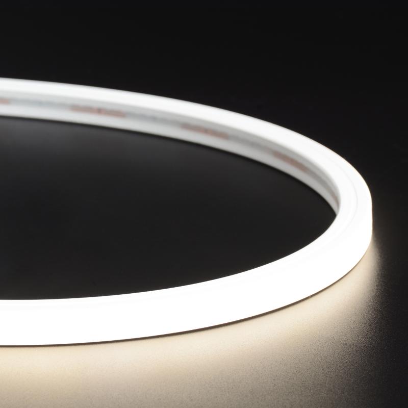 Luz de neón de silicona 1212 ERP